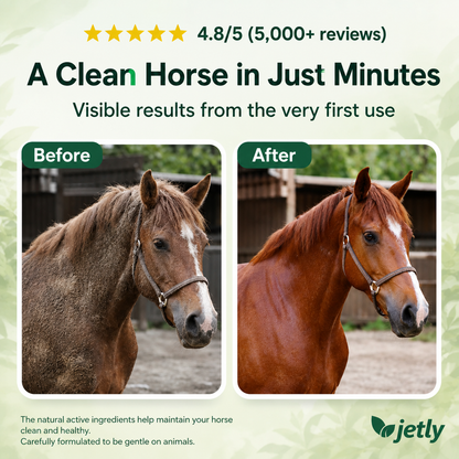 JETLY Horse
