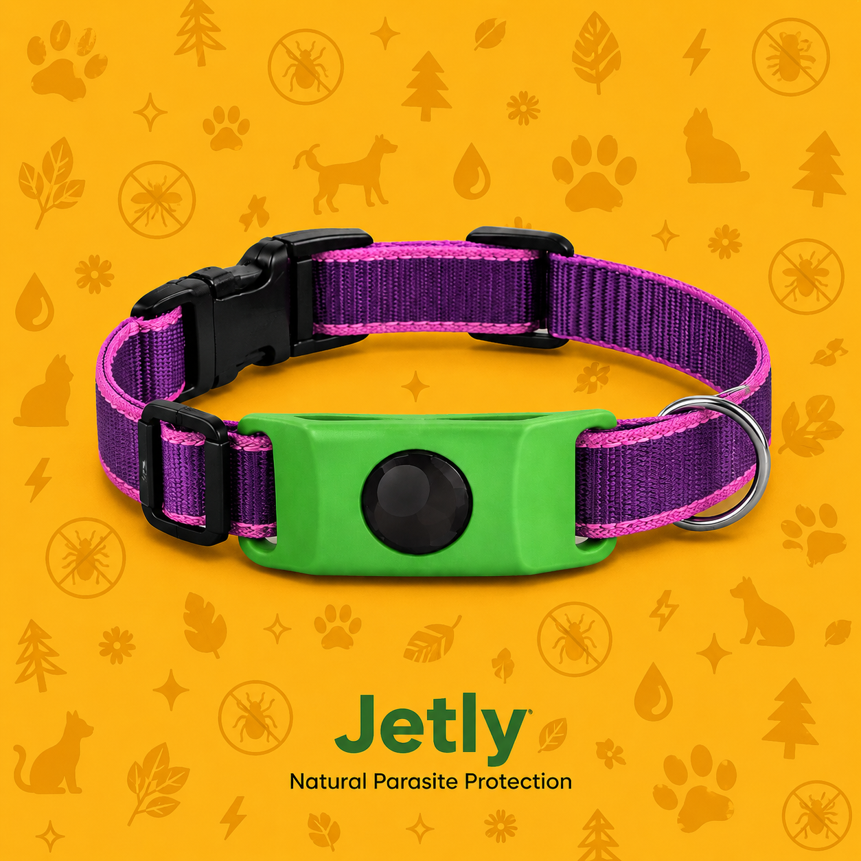 Jetly Guard